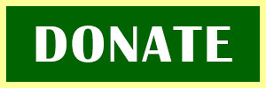 Donate to St Patrick's Kogarah